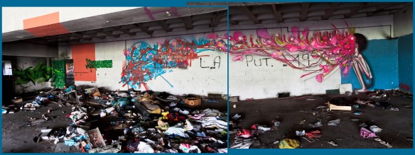 7173264447_ed33e462d4_o